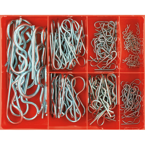 Champion R-Clip Assortment (Zinc Plated) 124PC